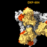 北京35例新冠患者背后的“同情用药” 中国一针剂新冠特效药效果显著