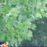 河北迎入汛后最强降雨，多部门联合应对。