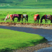 潮头观澜丨世界屋脊 保护优先