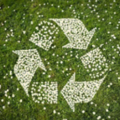 种下绿色希望（体坛观澜）