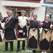 时政现场说丨总书记来到的这个“桃花村” 日子芝麻开花节节高