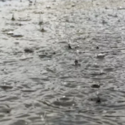 预警！“烟花”25日将在浙江舟山到玉环一带沿海登陆