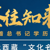 鉴往知来，跟着总书记学历史丨保护西藏优秀传统文化，总书记为何如此关注？