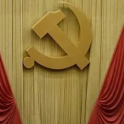 把党建设得更加坚强有力