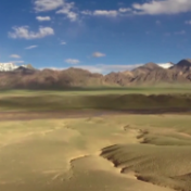 焦点访谈：雪域高原的绿色奇迹