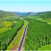 23年的守护，只为一片林海