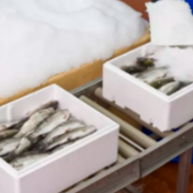 湖南首个进口冷链食品集中管理库投入使用