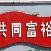 促进共同富裕需把握好几个关系