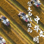 时政微纪录丨十年——习近平的江河情怀