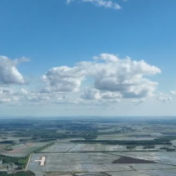 新华全媒+｜科技赋能智慧农业 无人机植保大显身手