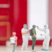 上海各区加大招商引资力度（高效统筹疫情防控和经济社会发展）