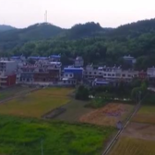 党旗在基层一线高高飘扬丨程桔：点亮乡村振兴的每一盏灯