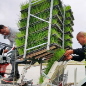 大国“粮”策丨微型农机上山 探索贵州农业高效发展