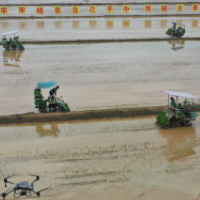 大国“粮”策丨守住大国粮仓让中国饭碗装满中国粮食