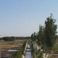 大国“粮”策 | 三夏遇高温 河南“引黄灌溉”抗旱保苗