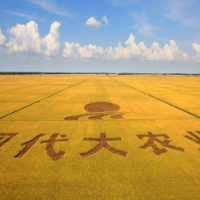 大国粮仓丨5G发展在龙江 无人农场看北大荒