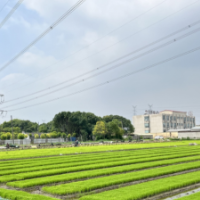 大国粮策丨江苏镇江：守好“粮袋子” 奏响夏种交响曲