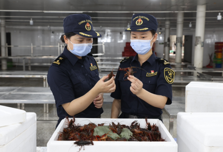 湖南鲜活小龙虾首次出口菲律宾