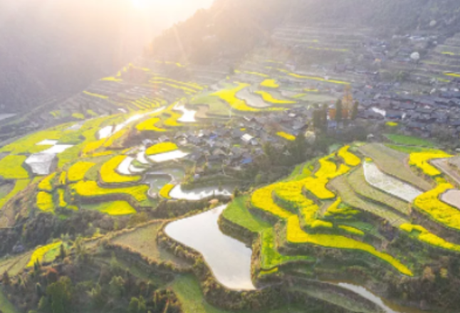 湖南：培育农人“慧种地”