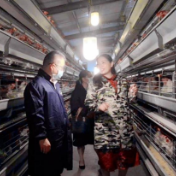 常德市生态环境局汉寿分局：用“春风”搭起政企“连心桥”