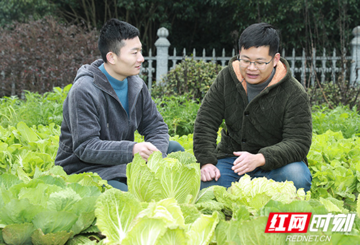 干在湖南｜省人大代表邓旭东：回有“风”的家乡 让“乡愁”成为乡村振兴的“火种”