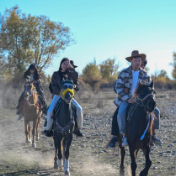 假日中国活力足——2024年国庆假期半程观察