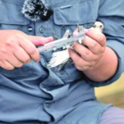 给鸟儿颁发“护照”