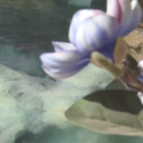 清明临近 绿色低碳祭扫成了新选择