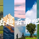 《总要去趟云南吧》宣传片