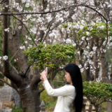 春花邂逅古建,花都“种花人”的中式浪漫