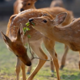 和谐共生｜以高品质生态环境支撑高质量发展
