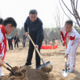 央视快评 | 全民植树增绿 共建美丽中国