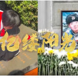 亿缕阳光｜家国永念 致敬英雄