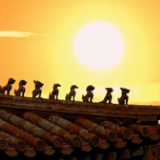 跟着总书记看中国 | 中华文脉