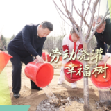 追光的你丨劳动浇灌幸福树