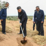 追光的你丨林场迎来了一位特殊的“治沙人”