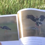 陕西:以水润城 绘就人水和谐新画卷