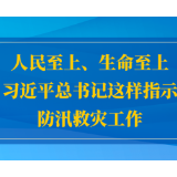 人民至上、生命至上，习近平总书记这样指示防汛救灾工作