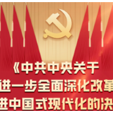 一图全解二十届三中全会《决定》