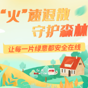 图解｜“火”速退散 守护森林，让每一片绿意都安全在线