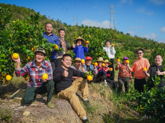 大美红图｜万家“甜橙”，瑶乡焕新