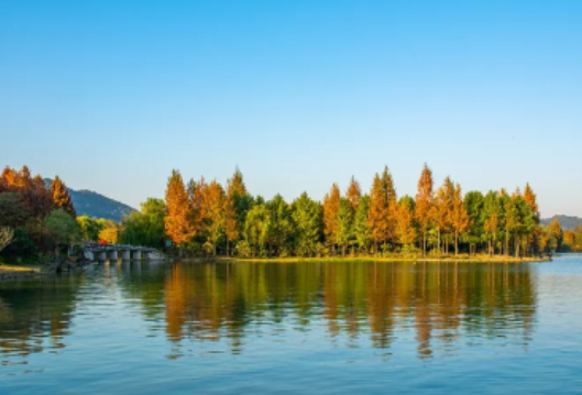 温差15℃湖南人又变甜了 干冷空气抵湘，省应急委办公室：严密防范森林火灾