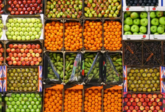 全球引种，湖南水果品种焕然一新