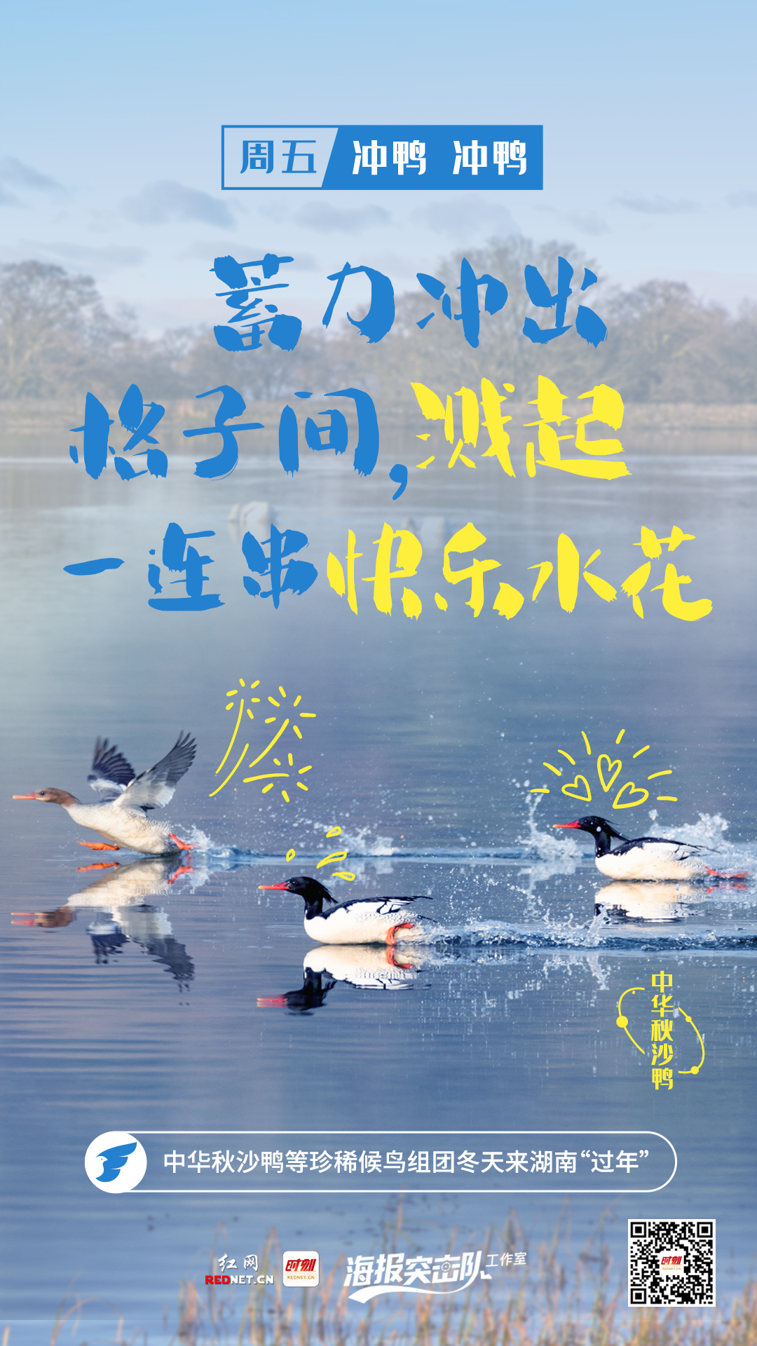 d36cce9ebe6a08b3351789e293df9bc.jpg