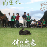 伴村成长⑥ | 玩转生态魔术，西湾村换来青山水长流