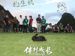 伴村成长⑥ | 玩转生态魔术，西湾村换来青山水长流