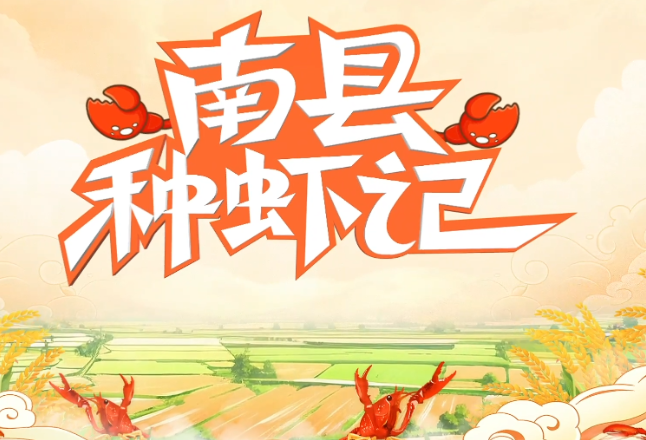 南县种虾记丨湖南南县小龙虾成为夏季美食顶流
