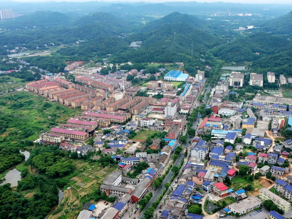 基层党建“空转”如何破？看一个乡镇的“实功”密码