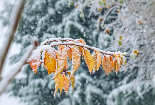 长沙要下雪了！