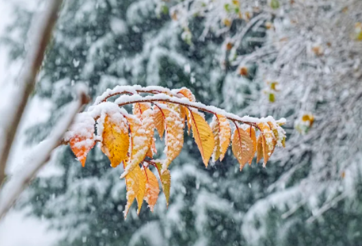 最新！湖南多个收费站管制！长沙城区多个路段结冰→